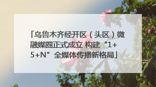 乌鲁木齐经开区（头区）微融媒圈正式成立 构建“1+5+N”全媒体传播新格局